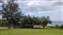 IMG_20220426_143333538.jpg