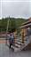 IMG_20220604_101245525.jpg