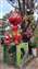IMG_20220106_103320996.jpg