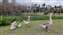 IMG_20220110_142224427.jpg