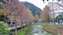 IMG_20220121_165628939.jpg