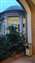 IMG_20221031_172227908.jpg