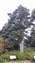 IMG_20221107_113653500.jpg