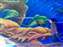 LINE_ALBUM_20221127_221129.jpg