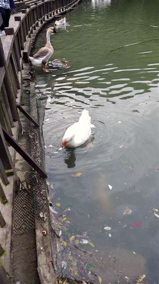 Click to go back