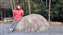 IMG_20221206_145546119.jpg