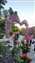 IMG_20221224_164034473.jpg