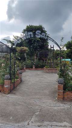 Click for large image