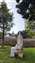 IMG_20220916_163628649.jpg
