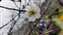 IMG_20230110_142736082.jpg