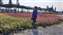 IMG_20230128_135729963.jpg