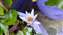 IMG_20230430_131424267.jpg