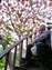 LINE_ALBUM_2023.5.27_230529-18.jpg