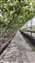 IMG_20230713_134149633.jpg