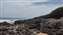 IMG_20230730_135909159.jpg