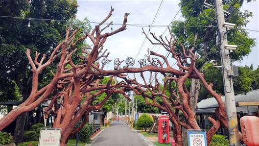 Click for large image