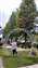 IMG_20231028_151957677.jpg