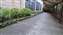 20230324_064054.jpg