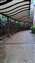 20230324_065310.jpg