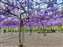 LINE_ALBUM_2023.3.23_230326-24.jpg
