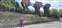 LINE_ALBUM_20231226_231227_1.jpg