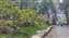 IMG_20230417_151227856.jpg