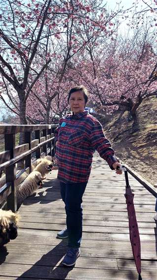 Click to go back