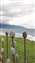 IMG_20240503_092401931.jpg