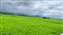 LINE_ALBUM_202452_240504_3.jpg