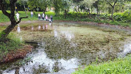 Click for large image