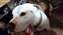 IMG_20240316_224529690.jpg