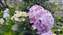 IMG_20240528_095426444.jpg