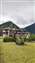 IMG_20240607_092954435.jpg