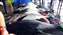 IMG_20240607_113628281鯊魚.jpg