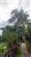 IMG_20240612_121417157.jpg