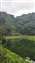 IMG_20240618_162717944.jpg