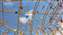 IMG_20241111_103233704.jpg