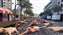IMG_20241215_143528458.jpg