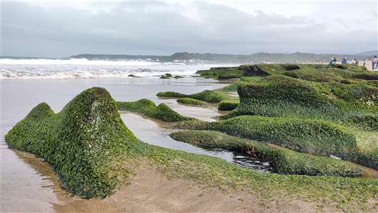 Click for large image