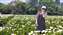 IMG_20240403_101005967.jpg