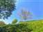 LINE_ALBUM_2025320_250322_6.jpg