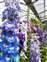 LINE_ALBUM_2025326_250328_9.jpg