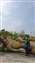 20250403_093428.jpg