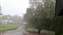 20250428_144805.jpg