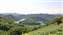 20250429_095753.jpg