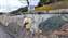 IMG_20250218_161409075.jpg