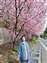 LINE_ALBUM_2025清境櫻花季1140224_250226_6.jpg
