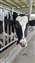 20250805_113507.jpg