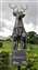20250608_160424.jpg