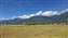 20250625_090808.jpg